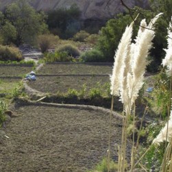 work_image_10