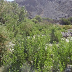 work_image_4