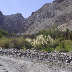 work_image_5